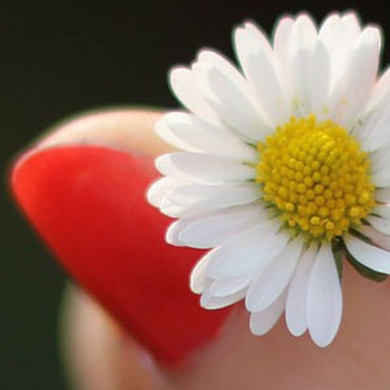 Las uñas, aprender a cuidarlas