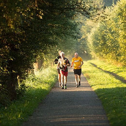 Precauciones a la hora de hacer deporte en verano