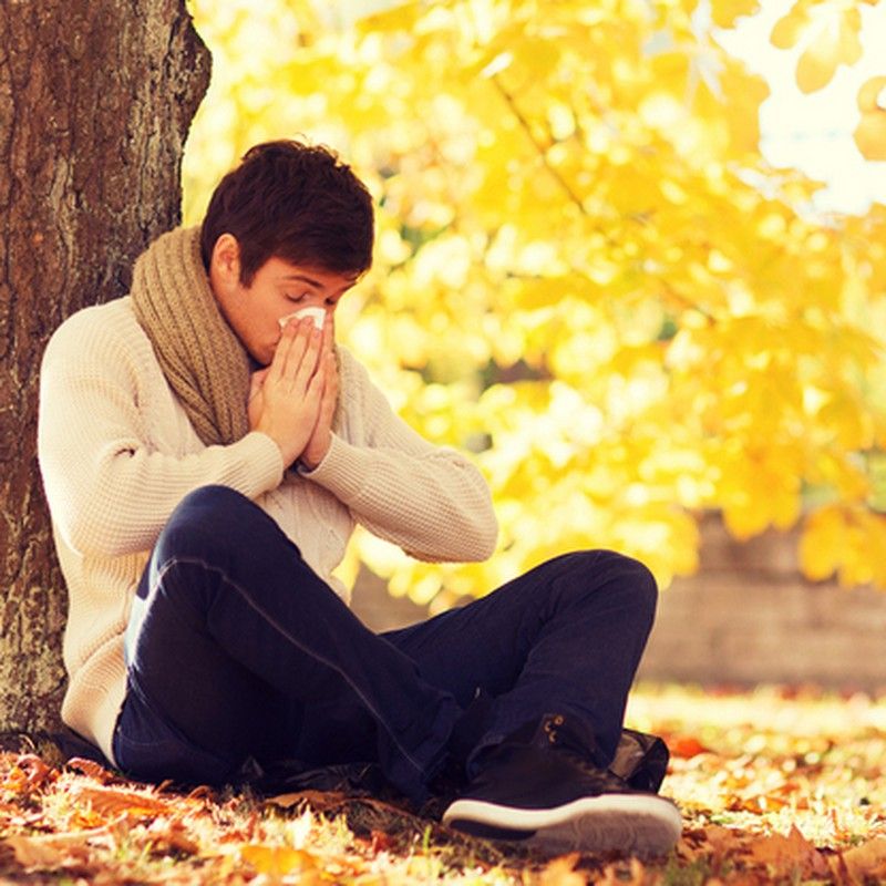 Alergias en otoño, aprendiendo a tratarlas