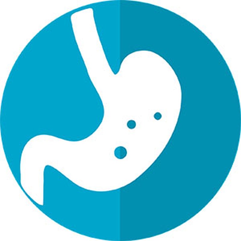 Corte de digestión: qué es y qué lo provoca