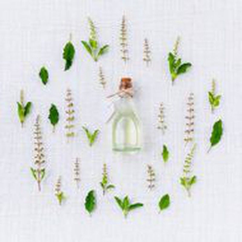 Beneficios de las plantas medicinales: fitoterapia