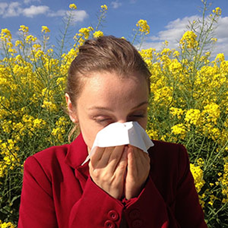 Gánale la batalla a la primavera. Tipos de alergia y cómo combatirlas
