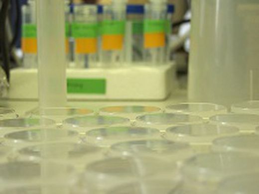 Un congreso farmacéutico en Valencia para analizar los retos del sector