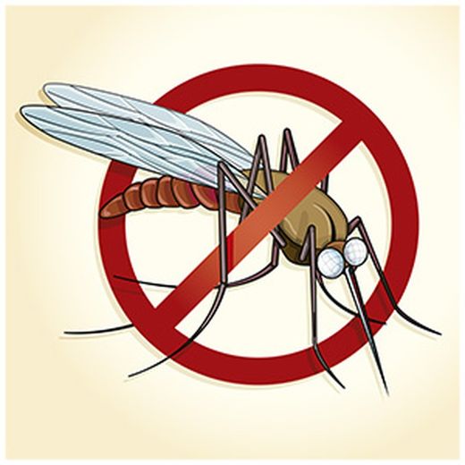 Cómo actúan los repelentes de insectos