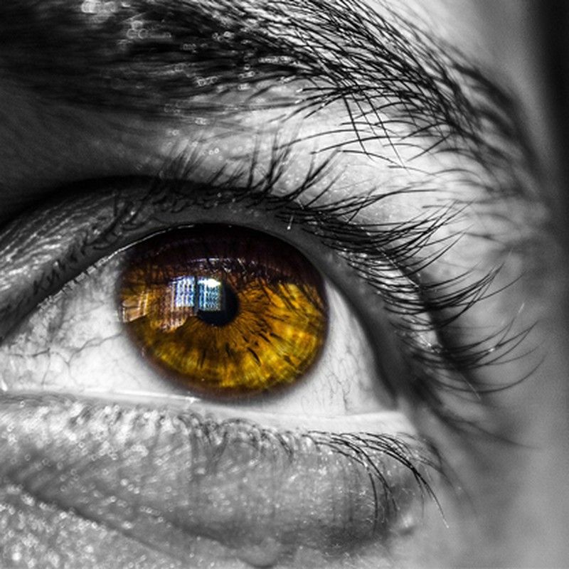 Protege tus ojos del sol