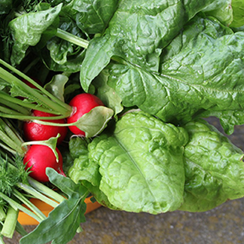 Beneficios de comer verduras de hoja verde