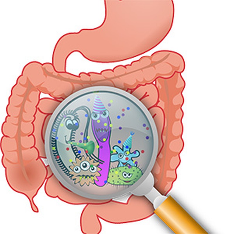 Microbiota intestinal: clave para el correcto funcionamiento de tus defensas