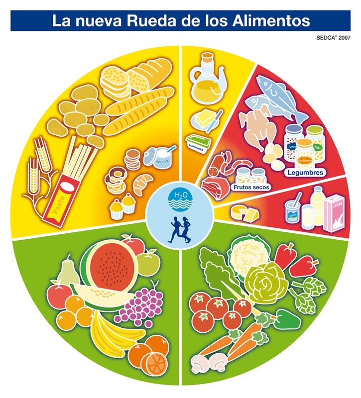 La rueda de los alimentos para conseguir una dieta saludable