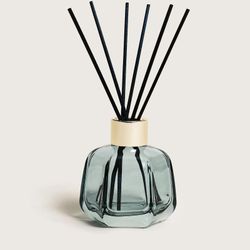 Berger Bqt Mikado Magical Vert 100ml