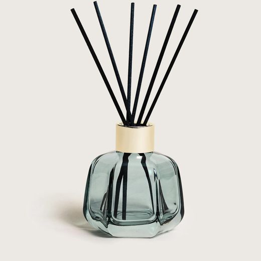 Berger Bqt Mikado Magical Vert 100ml