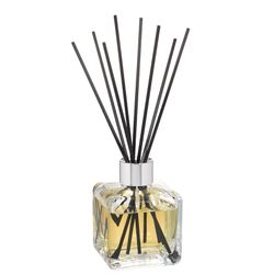 Berger Bouquet Mikado Sous Oliveraie