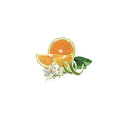 Berger Oferta Perfume Zeste d'Orange Verte 1L