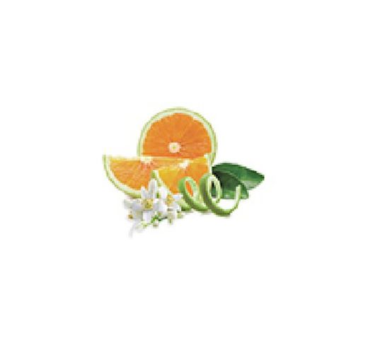 Berger Oferta Perfume Zeste d'Orange Verte 1L
