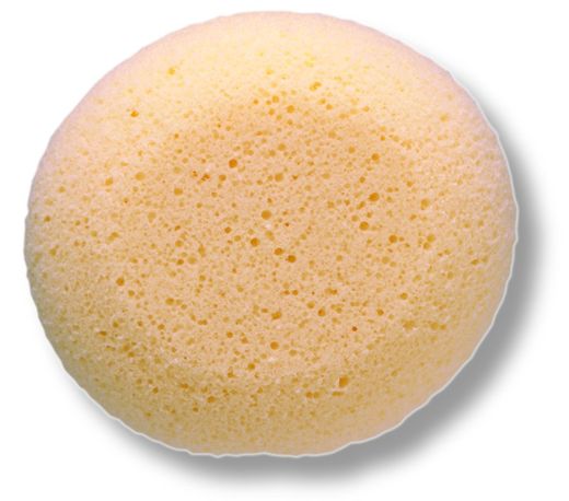 Esponja Hidrofila